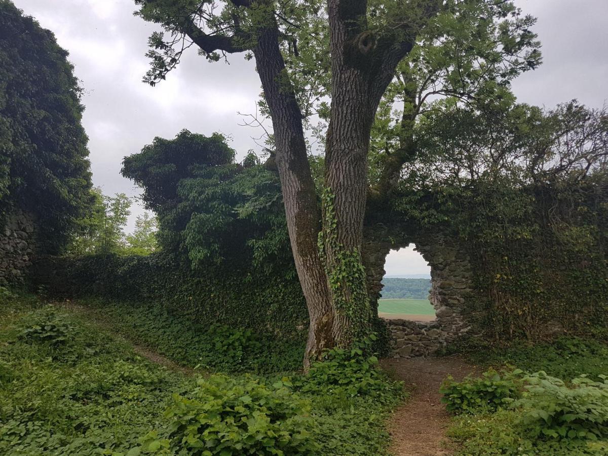 Ferienwohnung Hegau- Bodensee Og Muhlhausen-Ehingen Esterno foto